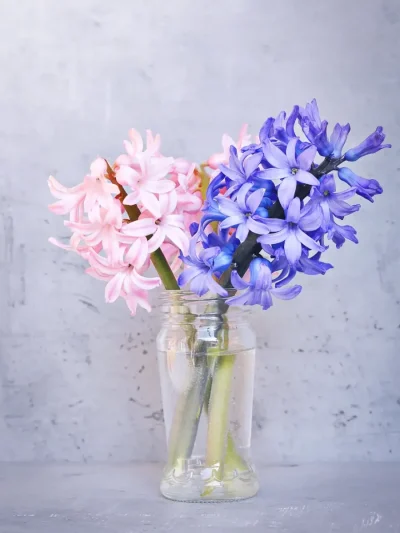 Scented Plant
